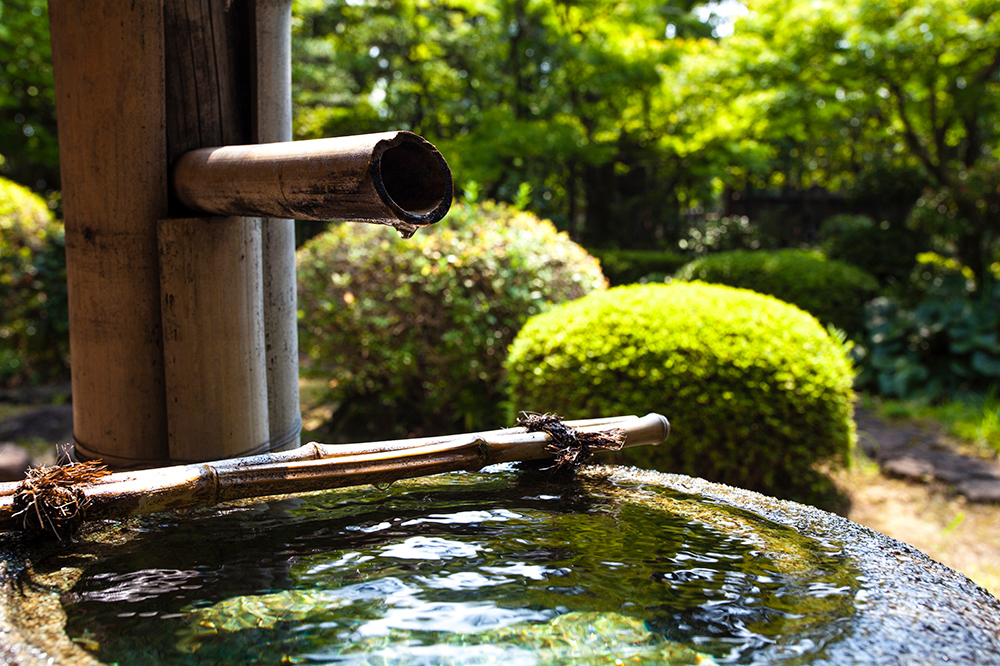 緑あふれる豊かな住環境をご提供します